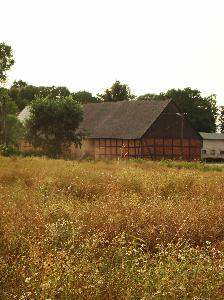 Rogalin (pow. sępoleński) - stodoła