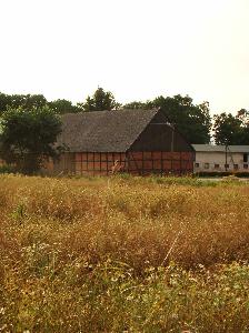 Rogalin (pow. sępoleński) - stodoła