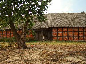 Rogalin (pow. sępoleński) - stodoła