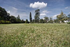 Toruń - skwer przy ul. Chopina