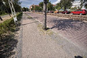 Toruń - ulica Chopina