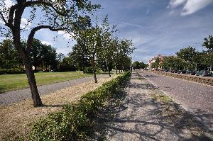 Toruń - ulica Chopina