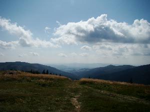 Śnieżnik