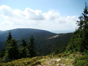 Śnieżnik