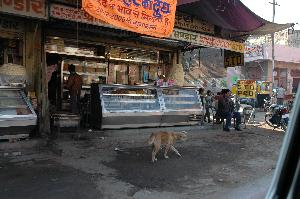 Indie, Rajastan, Jaisalmer