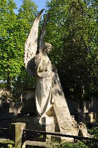 Warszawa - cmentarz ewangelicko-augsburski