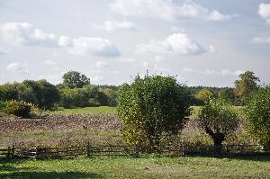 Toruń - łąki nadwiślańskie