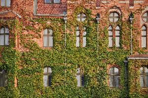 Toruń - Urząd Miasta