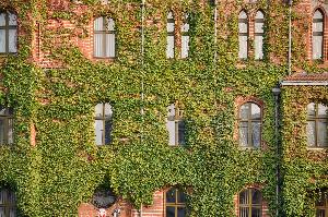 Toruń - Urząd Miasta