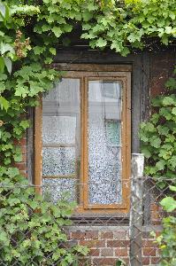 Toruń - ul. Wiązowa