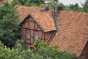 Toruń - ul. Wiązowa