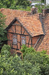 Toruń - ul. Wiązowa