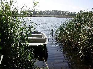 Jezioro Chełmżyńskie