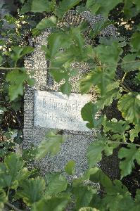 Toruń - ul. Mickiewicza 20