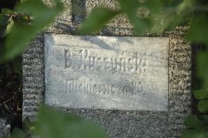 Toruń - ul. Mickiewicza 20