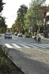 Toruń - ulica Mickiewicza