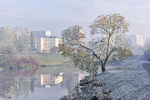 Toruń - staw Kaszownik