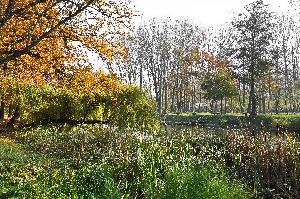 Toruń - park na Bydgoskim Przedmieściu