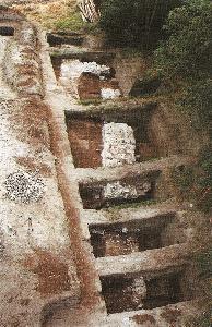 Kałdus
