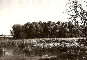 Wieldządz - grodzisko
