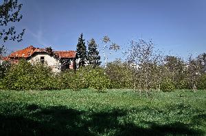 Toruń - willa Stella