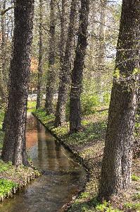 Toruń - Struga Toruńska