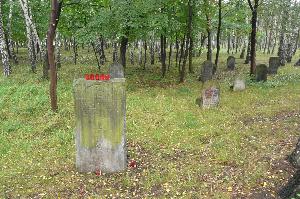 Warszawa - cmentarz żydowski na Bródnie
