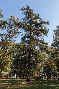 Turzno - zespół pałacowo-parkowy