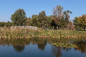 Turzno - zespół pałacowo-parkowy