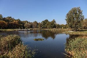 Turzno - zespół pałacowo-parkowy