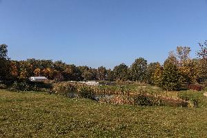 Turzno - zespół pałacowo-parkowy