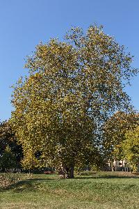 Turzno - zespół pałacowo-parkowy