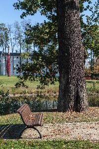 Turzno - zespół pałacowo-parkowy