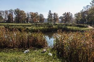 Turzno - zespół pałacowo-parkowy