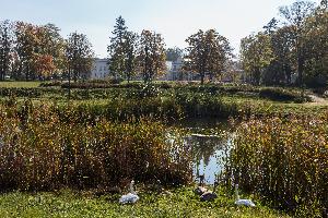 Turzno - zespół pałacowo-parkowy