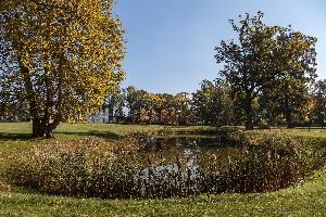 Turzno - zespół pałacowo-parkowy
