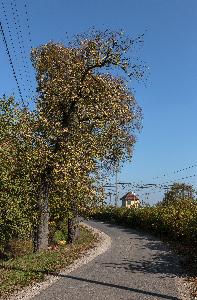 Turzno - zabudowa ul. Dworcowej