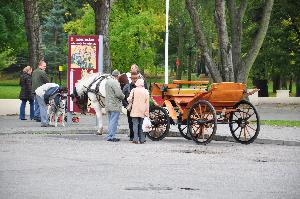 Dorożka