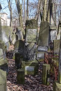 Warszawa - cmentarz żydowski