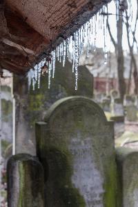 Warszawa - cmentarz żydowski