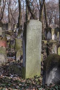 Warszawa - cmentarz żydowski