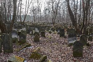Warszawa - cmentarz żydowski