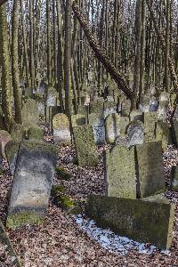 Warszawa - cmentarz żydowski