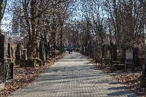 Warszawa - cmentarz żydowski