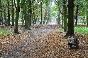 Park zdrojowy