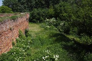 Toruń - Zamek Dybowski