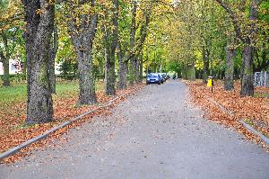 Park zdrojowy