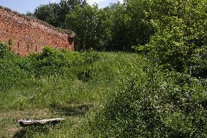 Toruń - Zamek Dybowski