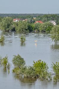 Toruń - powódź w maju i czerwcu 2010 r.