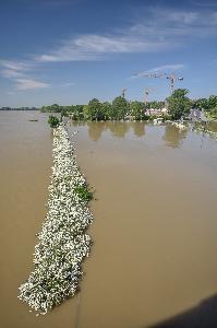 Toruń - powódź w maju i czerwcu 2010 r.